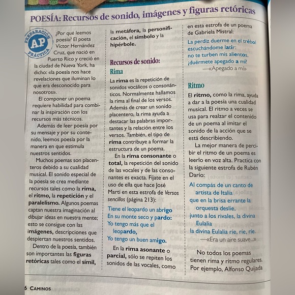 Nuevas Vistas Advanced Spanish Curso Uno Student Edition - Picture 9 of 9